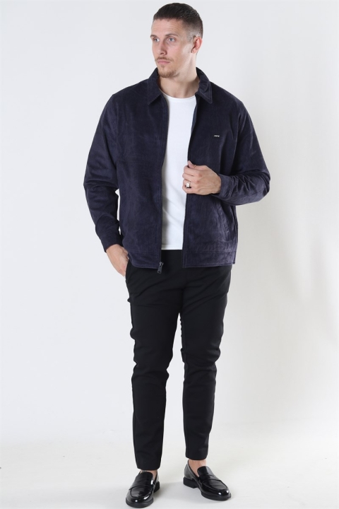 Levis Haight Harrington Jacka