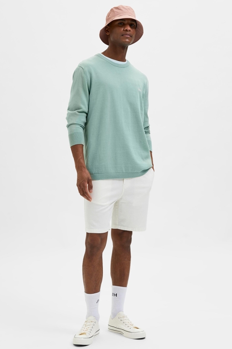 Selected SLHCOMFORT-NEWTON LINEN SHORTS W Cloud Dancer