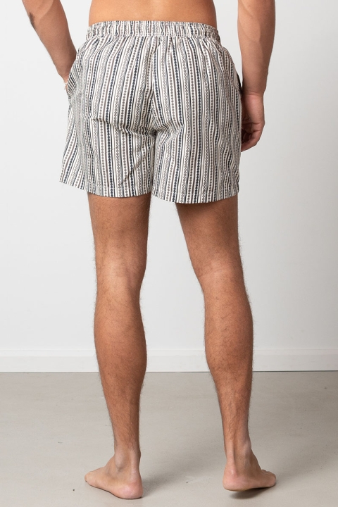 Clean Cut Copenhagen Swim Shorts Brown/Navy Striped