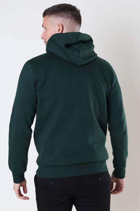 Jack & Jones LOGO SWEAT HOOD 2 COL 22/23 Pine Grove