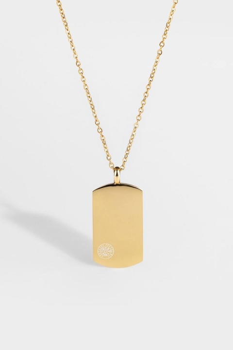 Northern Legacy Vegvisir Tag Halsband Guld