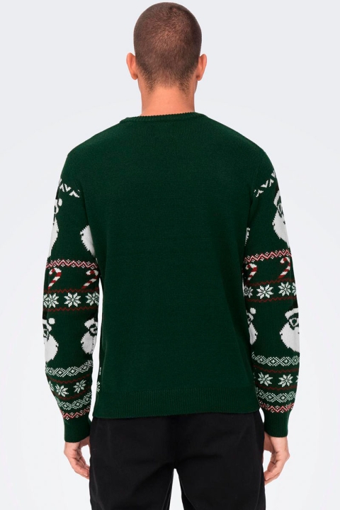 ONLY & SONS ONSXMAS SANTA JAQ REG CREW KNIT 3994 Eden