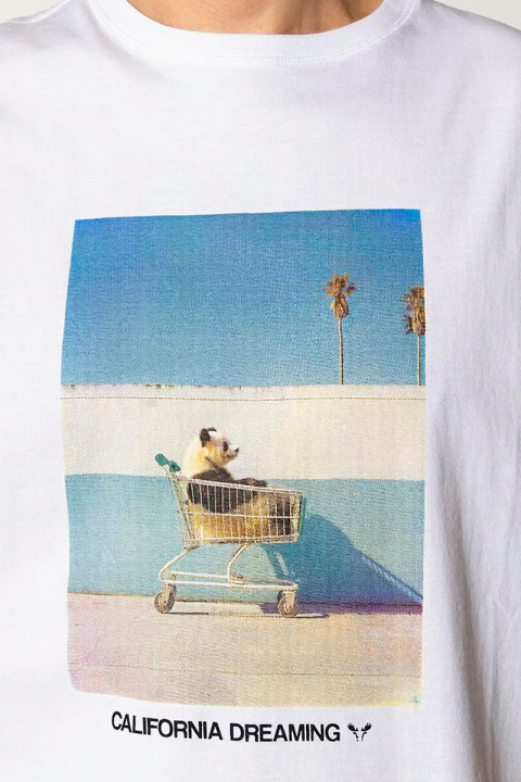 Fat Moose Cali Dreaming T-shirt White