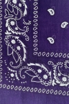 EVERYDAY Filuca Bandana Purple