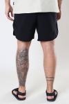 Woodbird Jin Bean Shorts Black