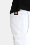 Dickies Slim Stgt WK Shorts White