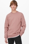 ONLY & SONS ONSCERES LIFE CREW NECK NOOS Burlwood