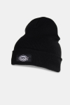 Dickies Yonkers Hatt Black