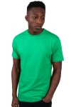 Basic Brand T-shirt SpRinga Green 