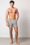 Clean Cut Copenhagen Swim Shorts Bottle Stripe