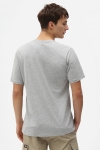 Dickies SS MAPLETON T-SHIRT GREY MELANGE