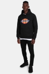 Dickies Nevada Hoodie Black