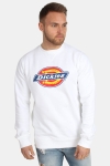 Dickies Harrison Tröja White