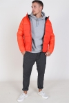 Jack & Jones Oscar Jacka Hood Cherry Tomata