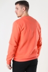 Only & Sons Onsceres Life Crew Neck Camelia