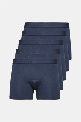 Haiden 5-Pack Trunks Sky Captain